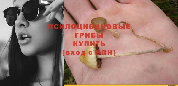 ALPHA-PVP Медногорск