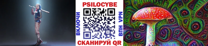Купить  Можга  Псилоцибиновые грибы Psilocybe 