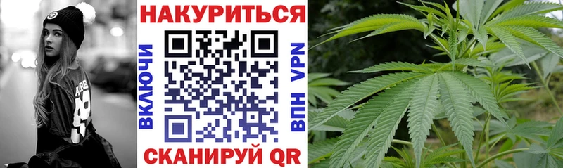Конопля конопля  Купить  Можга 